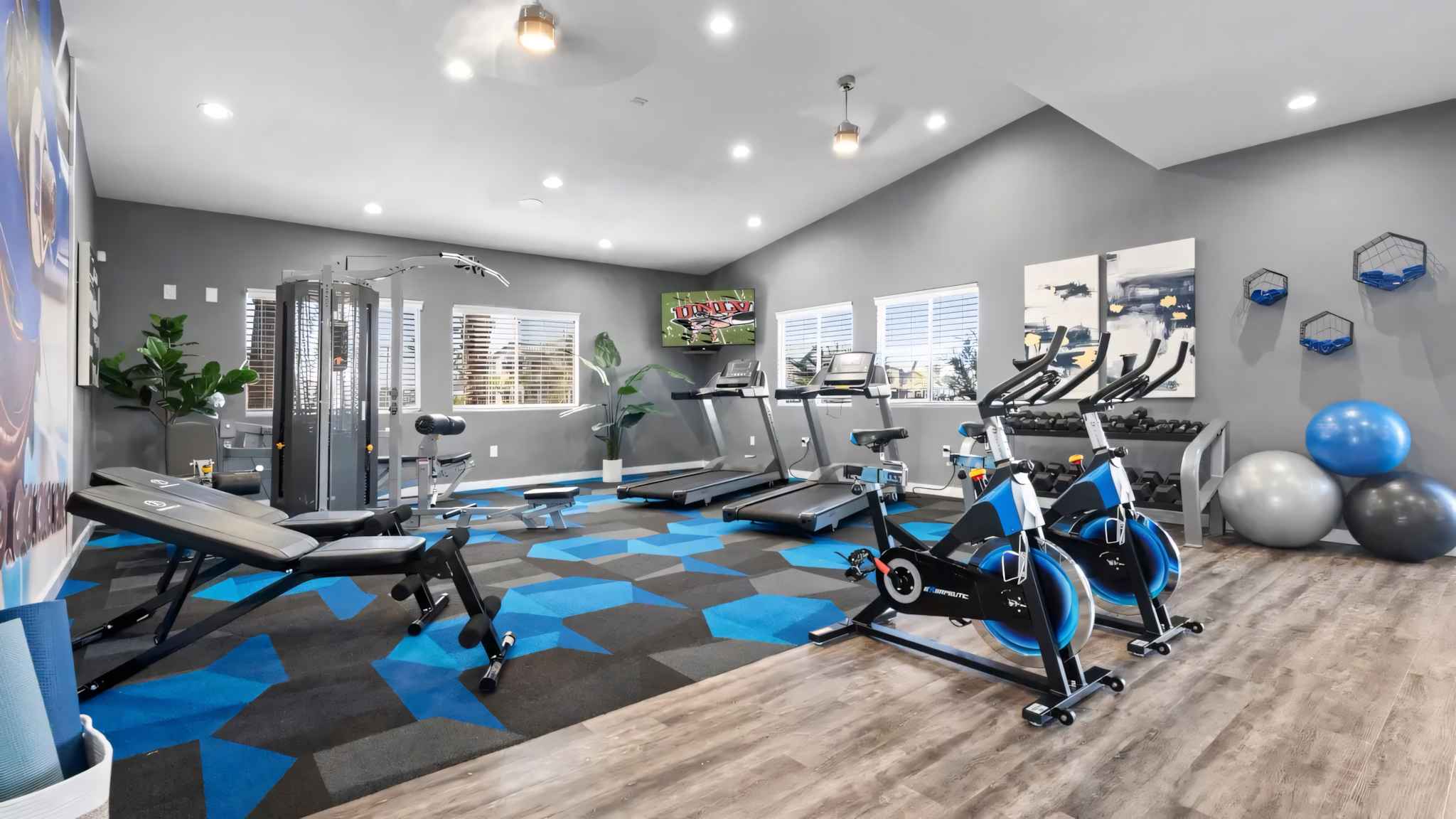 fitness center cardio machines weight and benches at Millennium East